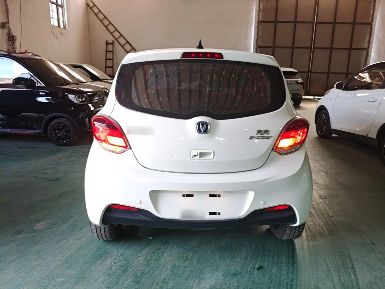 CHANGAN Benni E-Star 2022 National Edition Colorful Limited Edition (Fast-Charging Version) Lithium Iron Phosphate — миниатюра 5