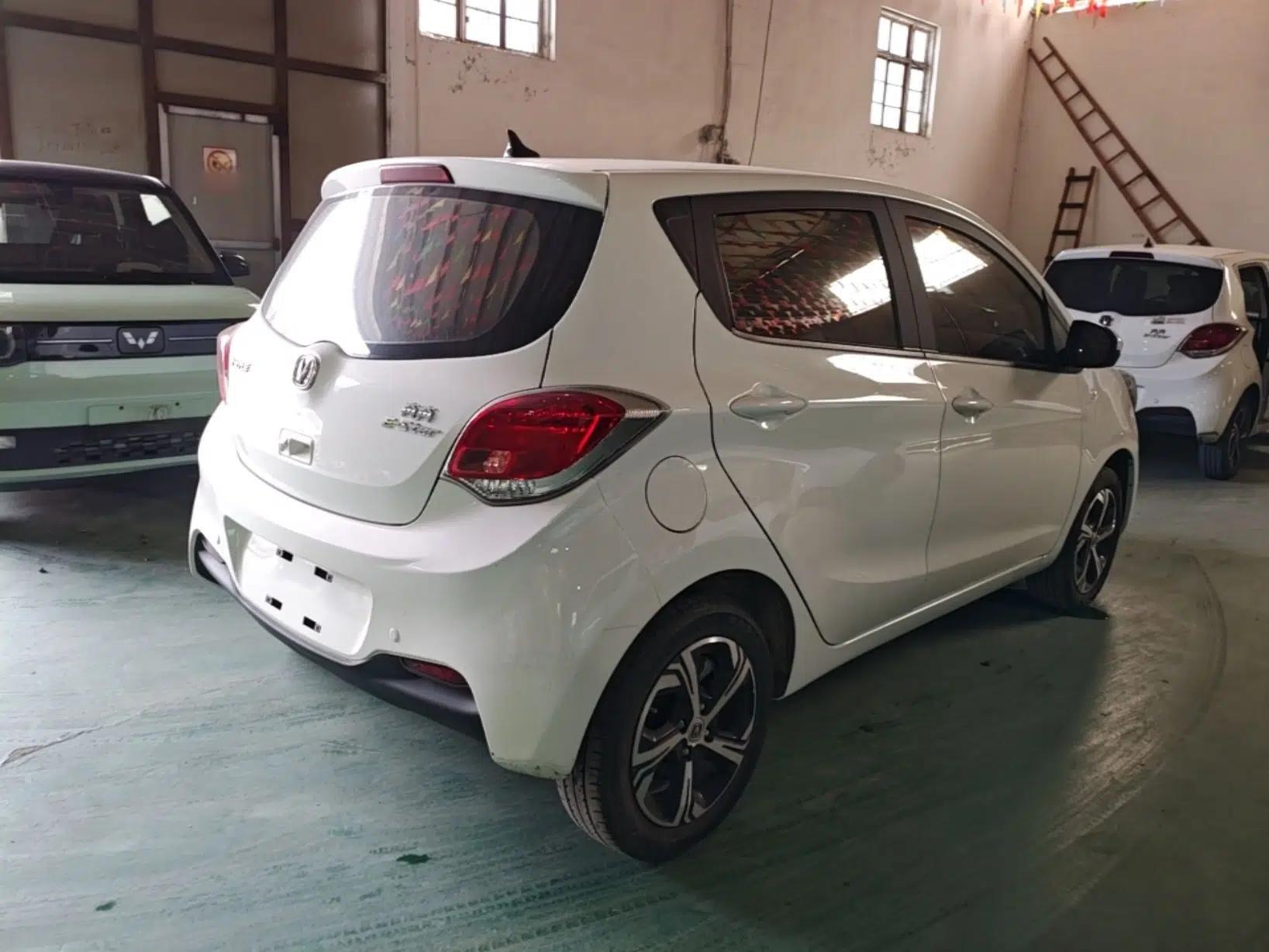 CHANGAN Benni E-Star 2022 National Edition Colorful Limited Edition (Fast-Charging Version) Lithium Iron Phosphate — миниатюра 6
