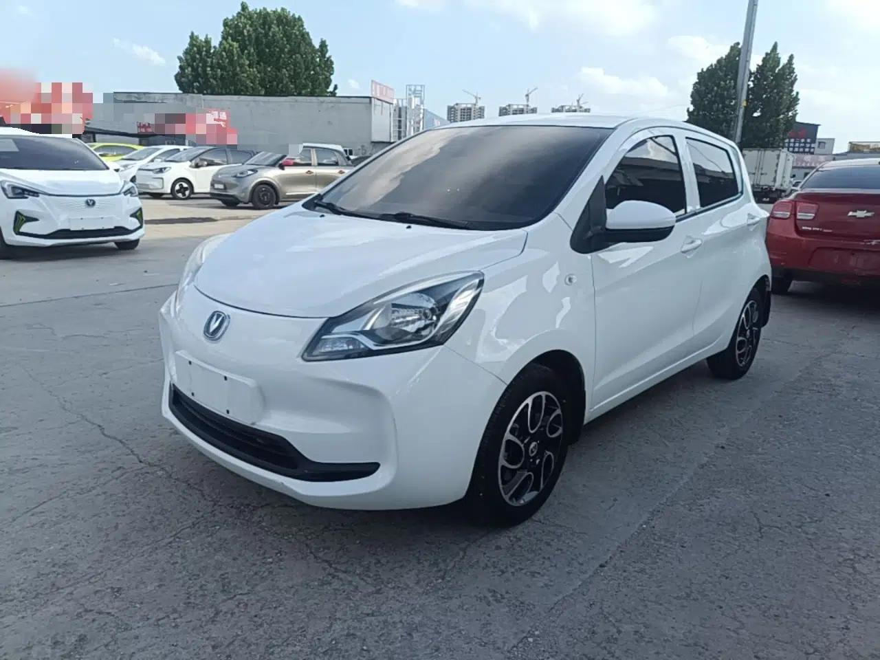 CHANGAN Benni E-Star 2021 National Edition Colorful Version Lithium Iron Phosphate (31.86 kWh) — миниатюра 1