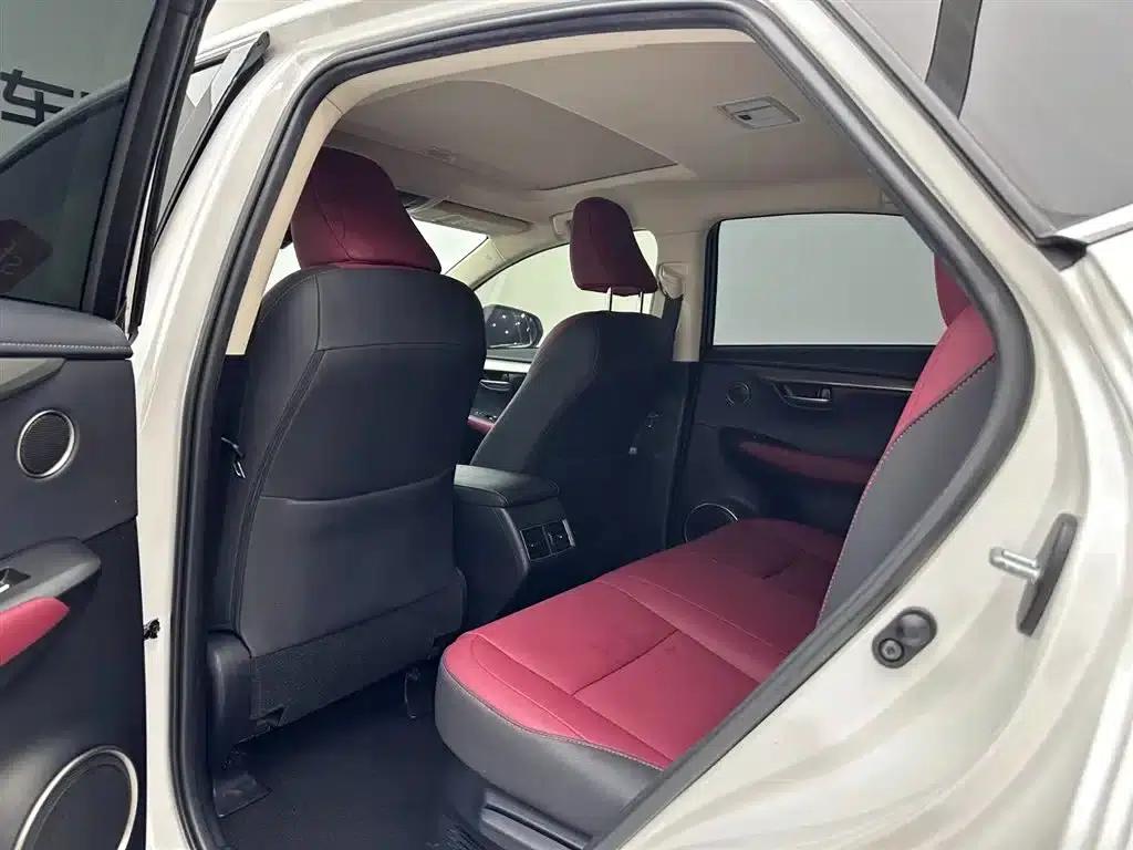 Lexus NX 2020 300h FWD Sport Edition (China VI Emission Standard) — миниатюра 22