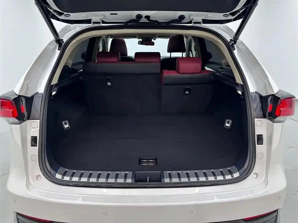 Lexus NX 2020 300h FWD Sport Edition (China VI Emission Standard) — миниатюра 28