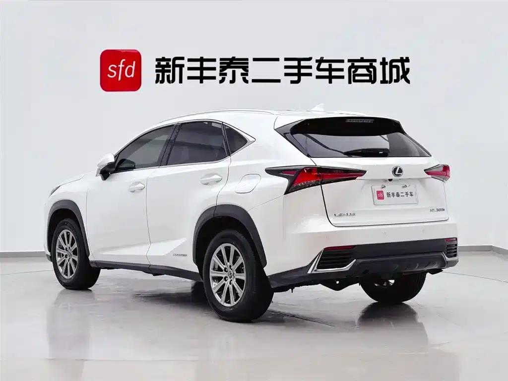 Lexus NX 2020 300h FWD Sport Edition (China VI Emission Standard) — миниатюра 6