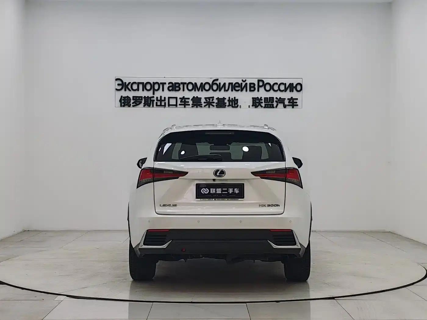 Lexus NX 2020 300h FWD Sport Edition (China VI Emission Standard) — миниатюра 6