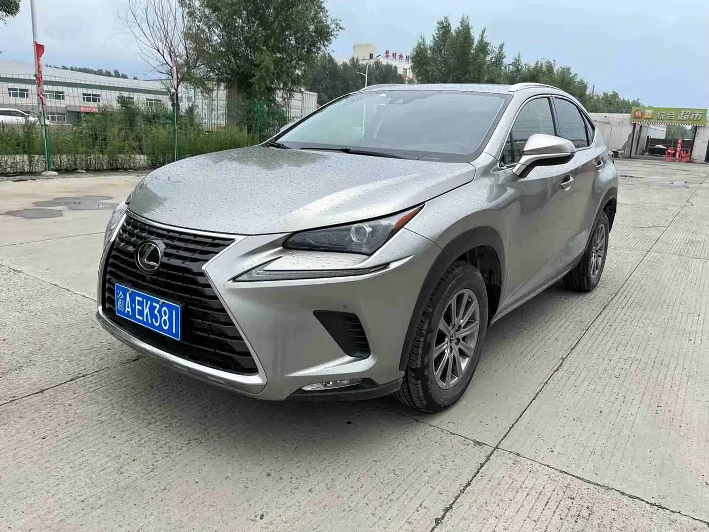 Lexus NX 2020 200 AWD Sport Edition (China V Emission Standard) — миниатюра 1