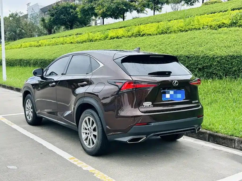 Lexus NX 2018 300 FWD Sport Edition — миниатюра 6