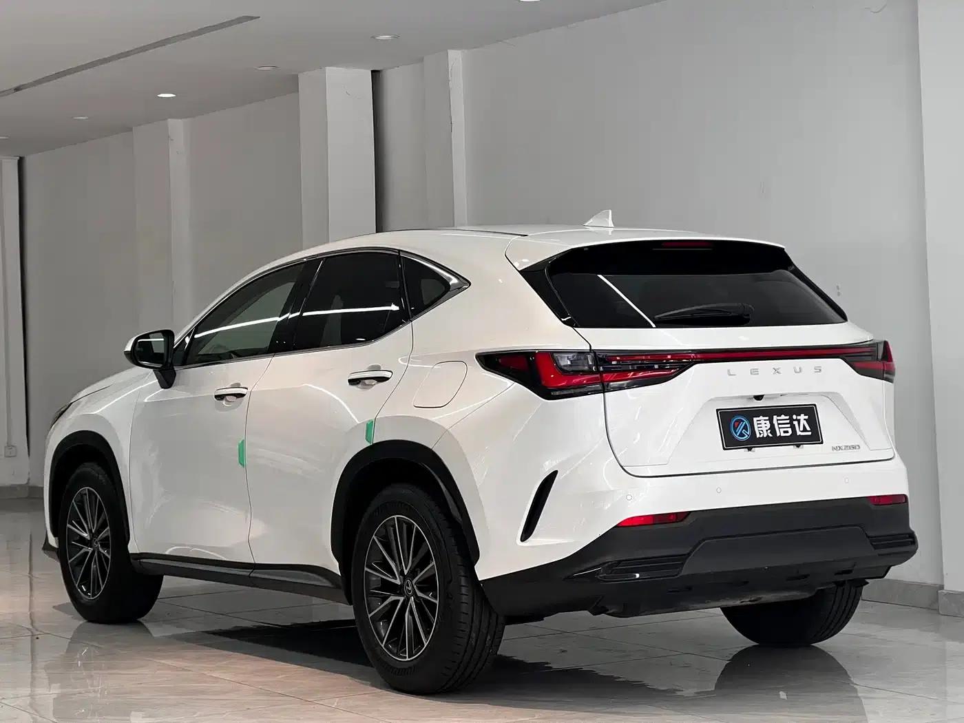 Lexus NX 2023 260 AWD Elite Edition — миниатюра 14