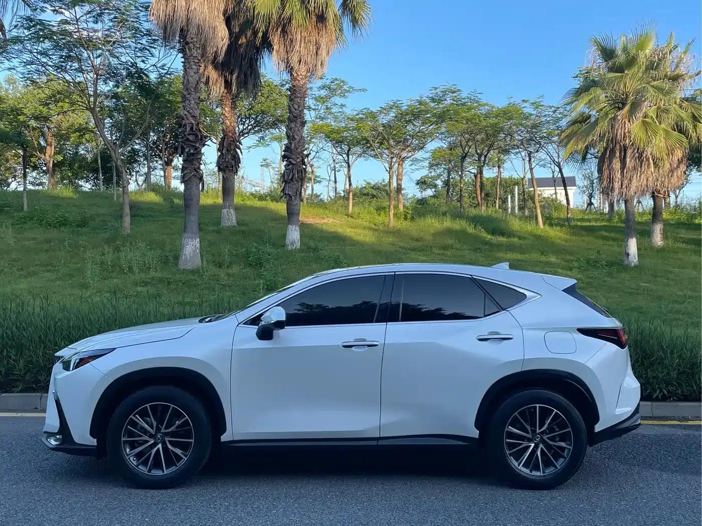 Lexus NX 2022 260 AWD Elite Edition — миниатюра 3