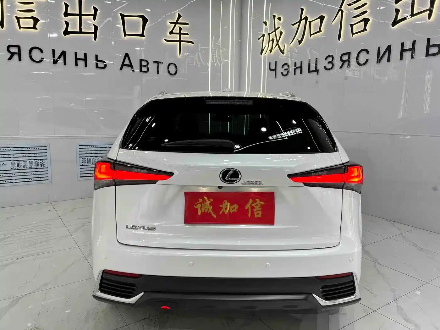 Lexus NX 2020 200 AWD Sport Edition (China VI Emission Standard) — миниатюра 5