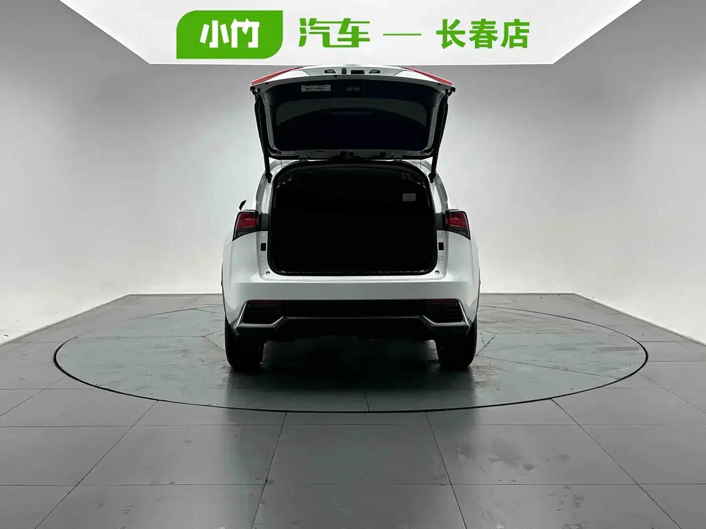 Lexus NX 2020 200 AWD Sport Edition (China VI Emission Standard) — миниатюра 5