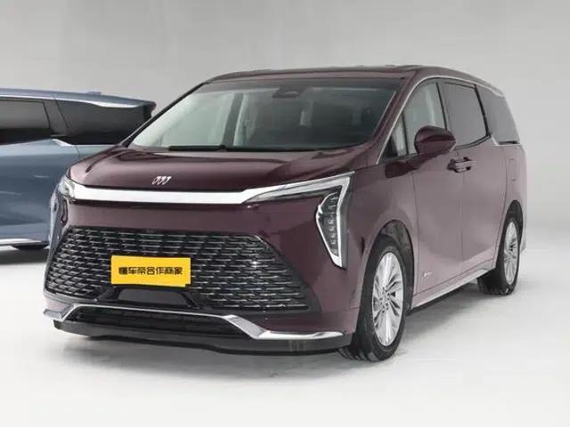 Century 2023 2.0T 7-Seat Luxury Edition
