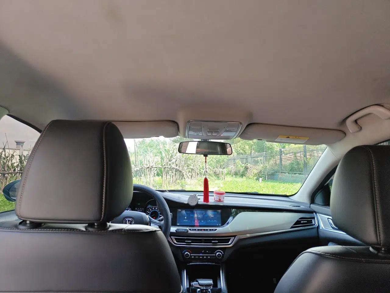 CHANGAN Eado New Energy 2019 EV460 Smart Edition — миниатюра 18