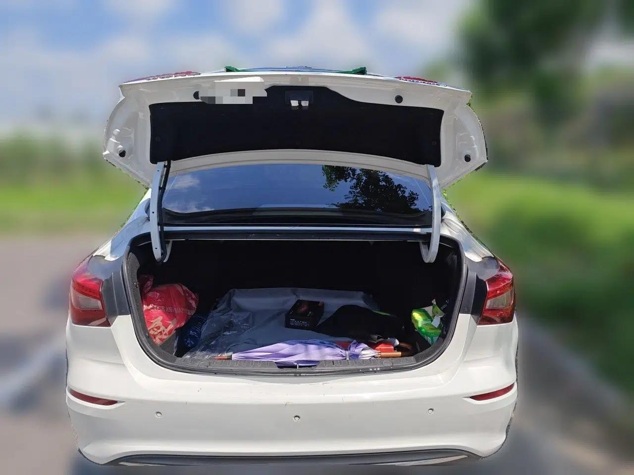 CHANGAN Eado New Energy 2019 EV460 Smart Edition — миниатюра 19