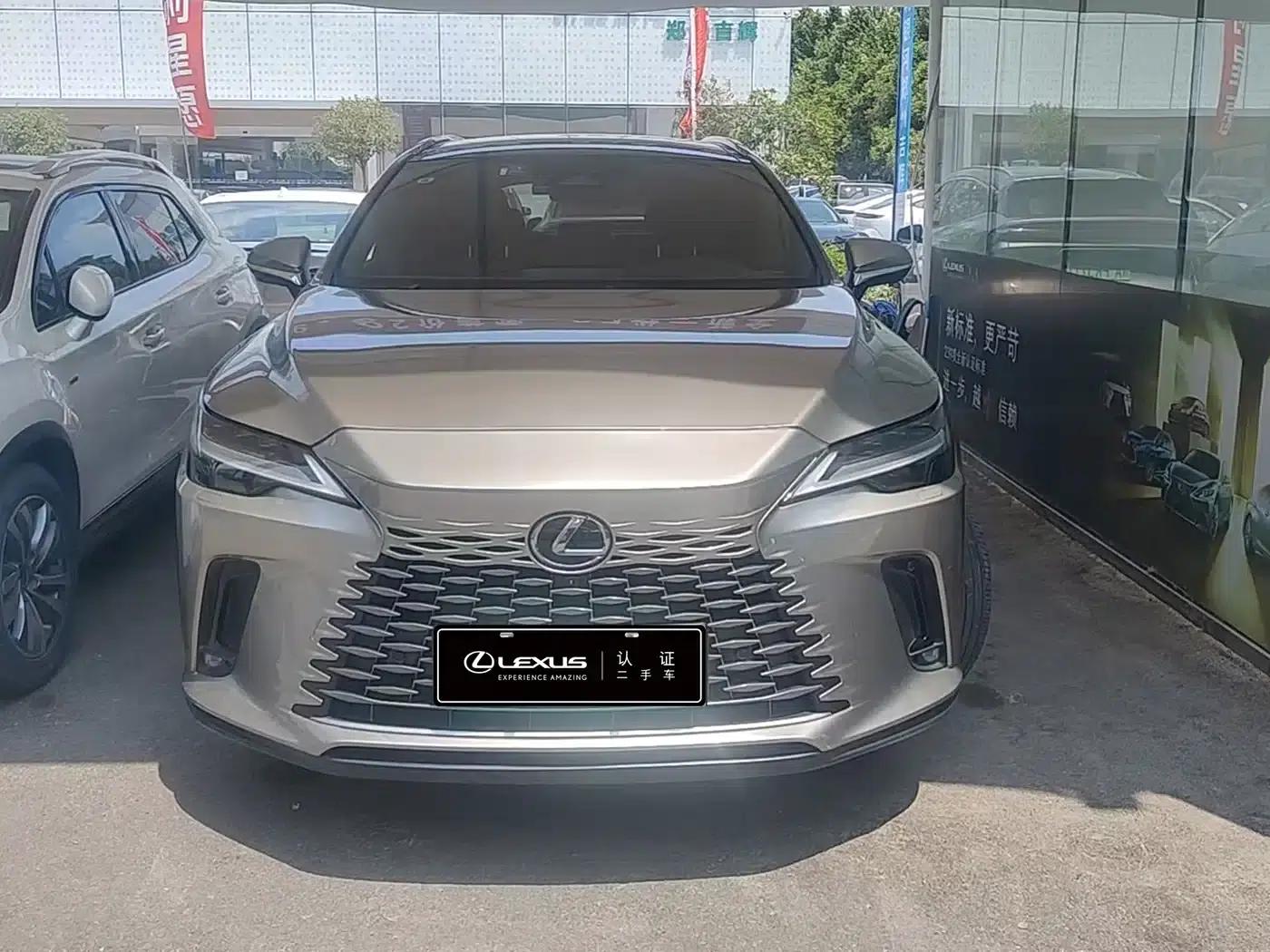 Lexus RX Hybrid 2023 450h+ AWD Enjoy Edition — миниатюра 2