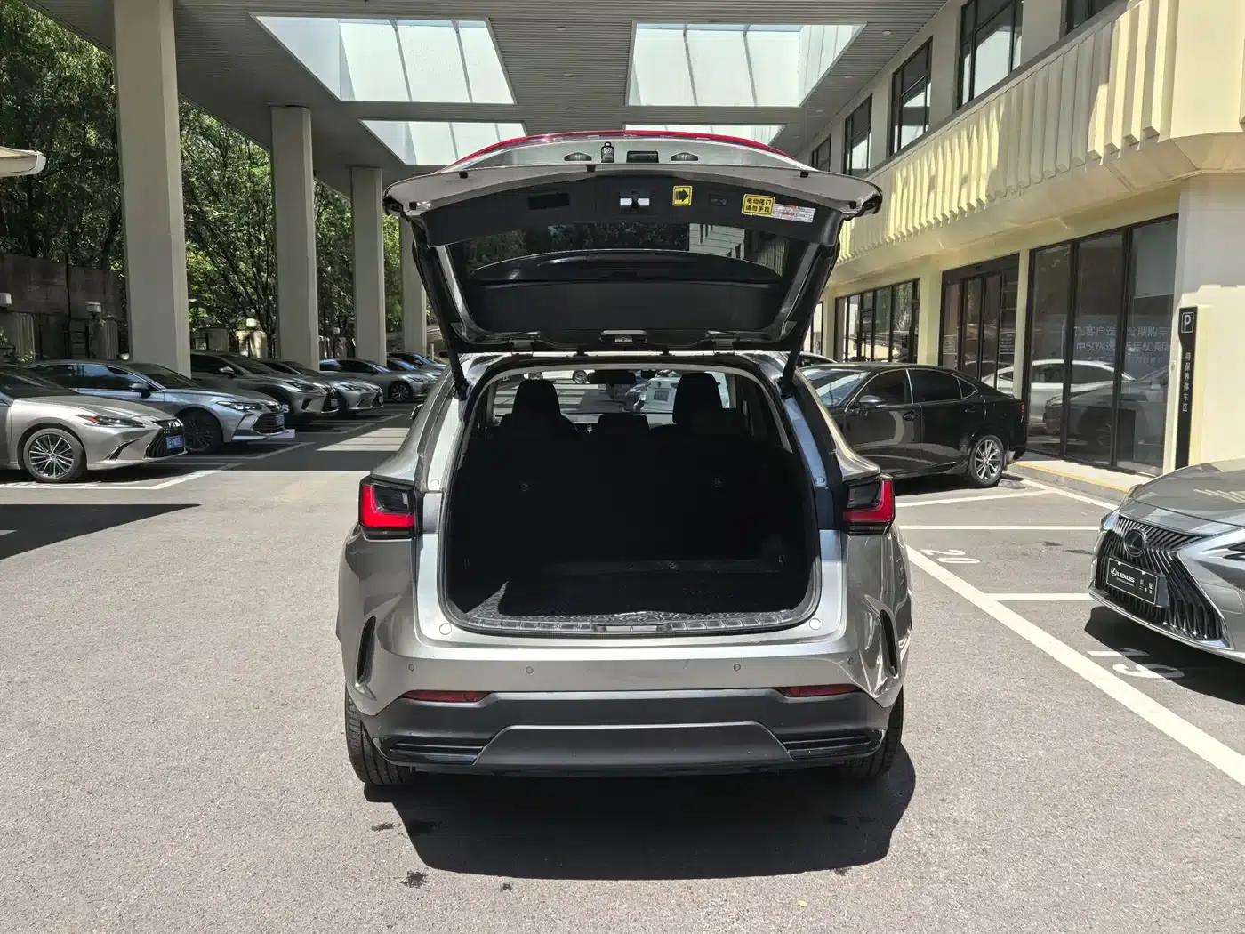 Lexus NX PHEV 2022 400h+ Comfort Edition — миниатюра 7