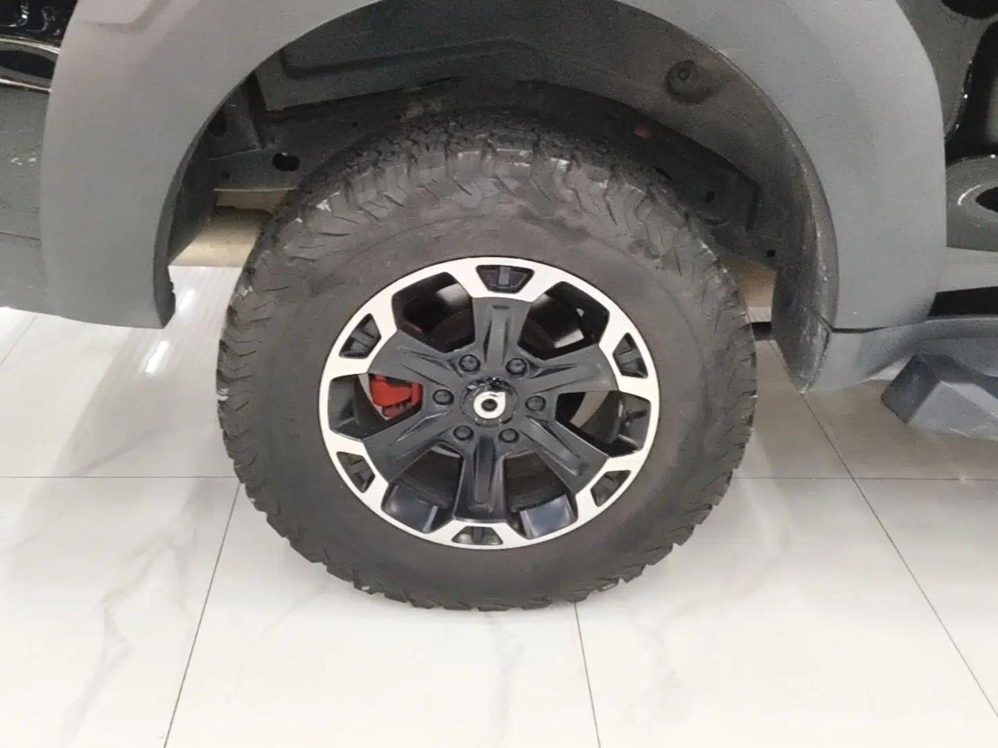 Great Wall Shanhai Poer 2023 3.0T V6 Gasoline Performance Edition — миниатюра 11