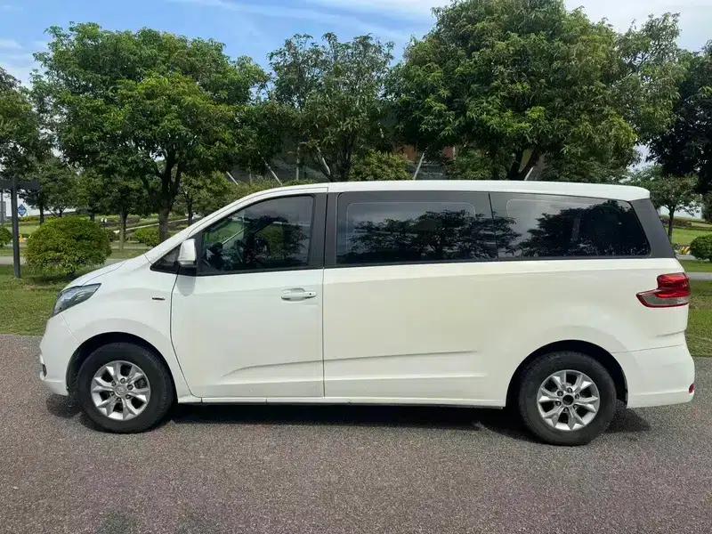 Maxus G10 2014 2.0T Manual Deluxe Edition — миниатюра 4
