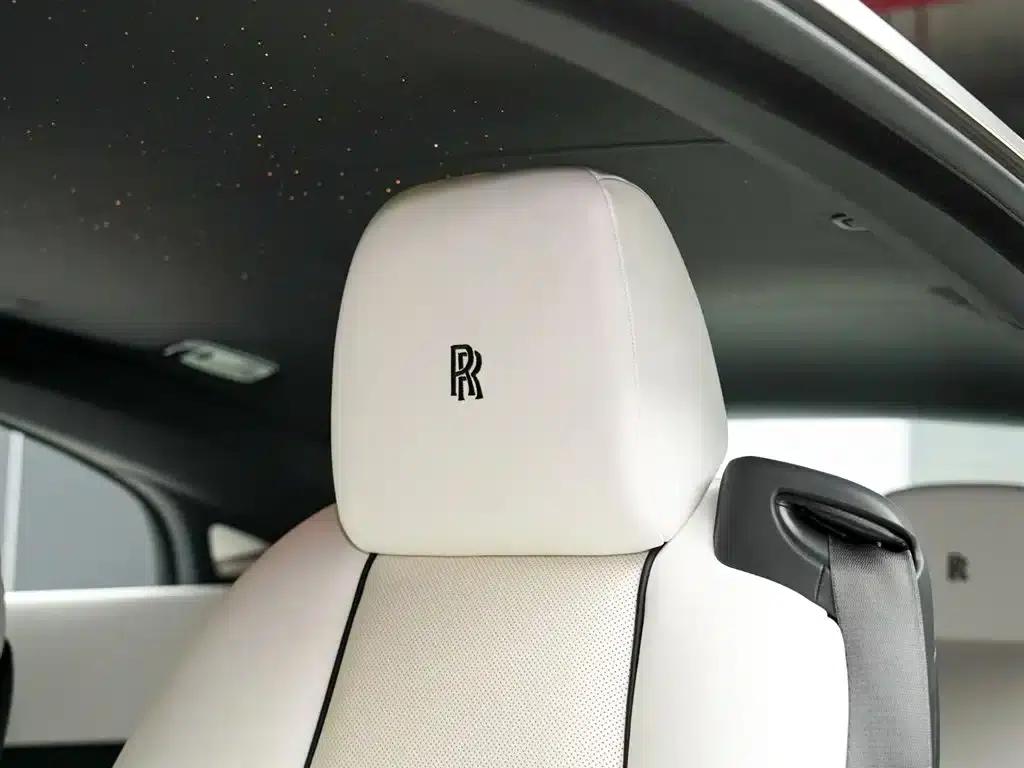 2018 Phantom 6.6T Standard Edition — миниатюра 10