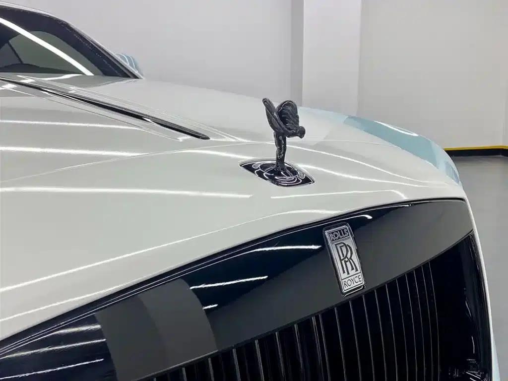 2018 Phantom 6.6T Standard Edition — миниатюра 10