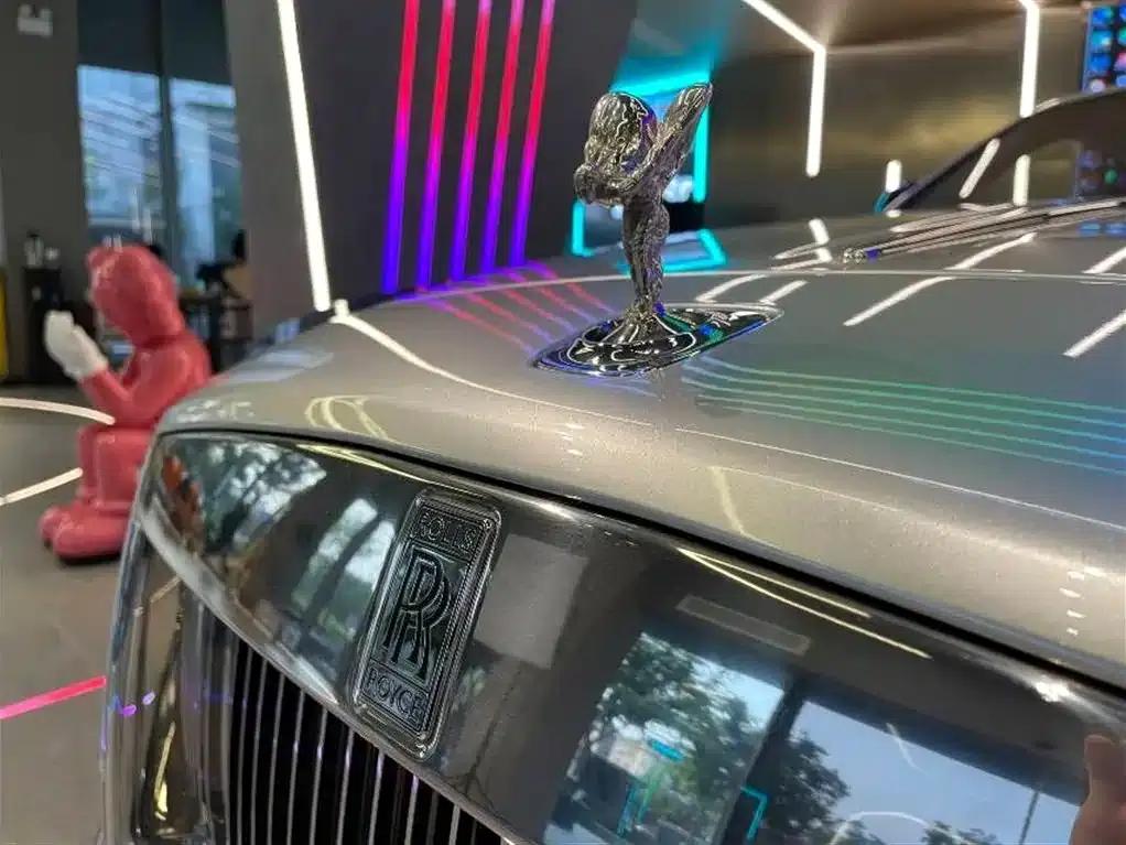 2018 Phantom 6.6T Standard Edition — миниатюра 3