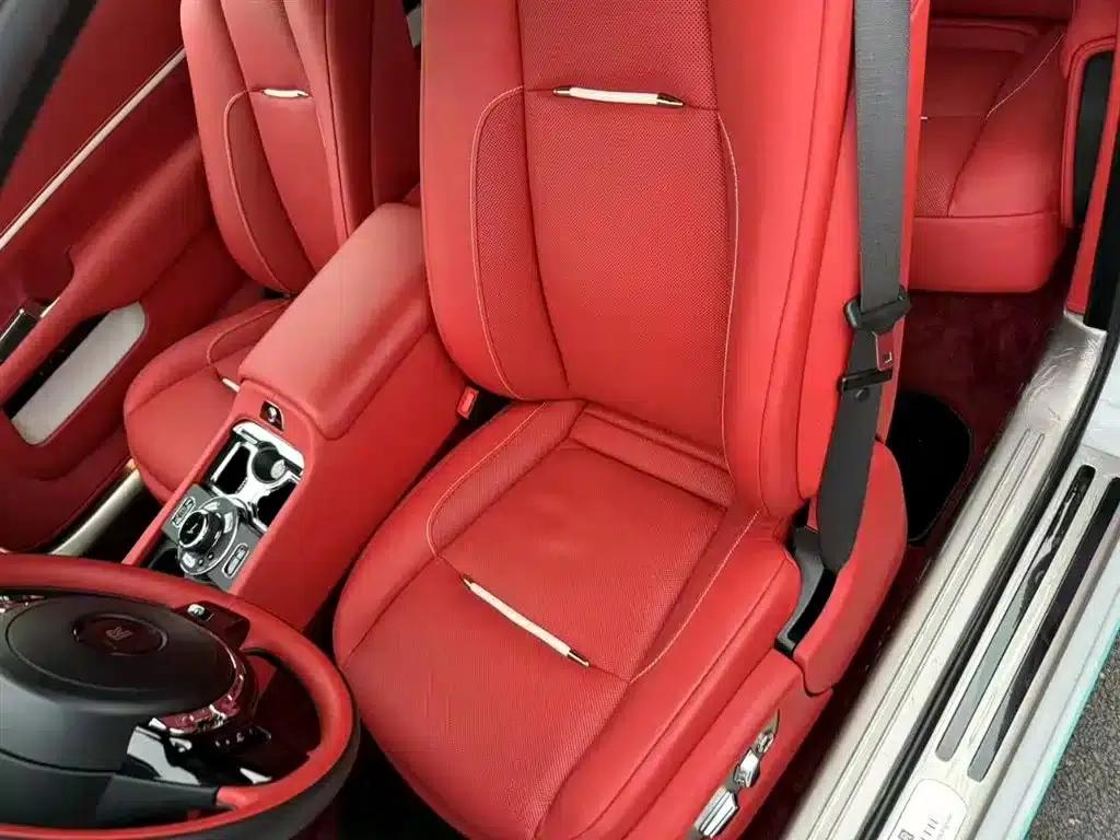 2018 Phantom 6.6T Standard Edition — миниатюра 7