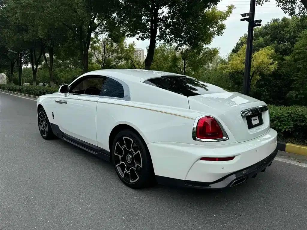 2018 Phantom 6.6T Standard Edition — миниатюра 10