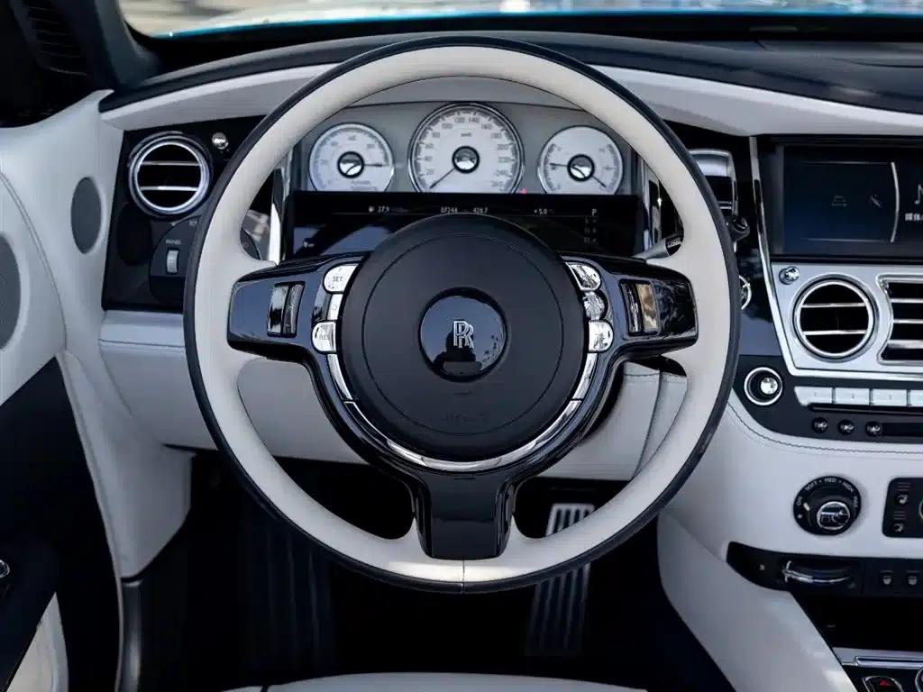 2018 Dawn 6.6T Standard Edition — миниатюра 13