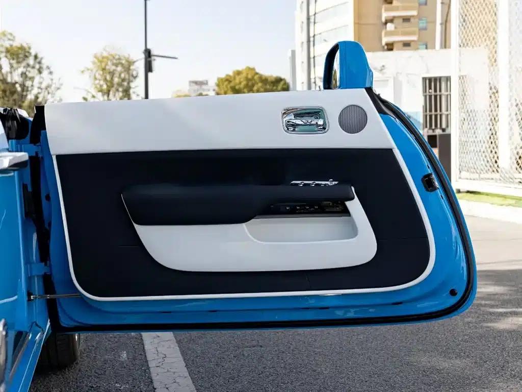 2018 Dawn 6.6T Standard Edition — миниатюра 18