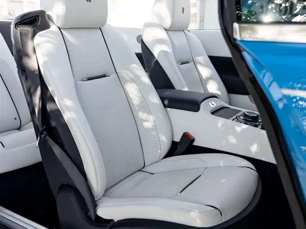 2018 Dawn 6.6T Standard Edition — миниатюра 19