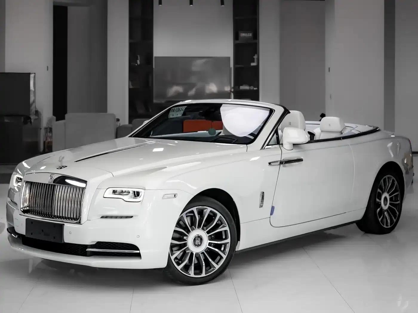 2018 Dawn 6.6T Standard Edition — миниатюра 3