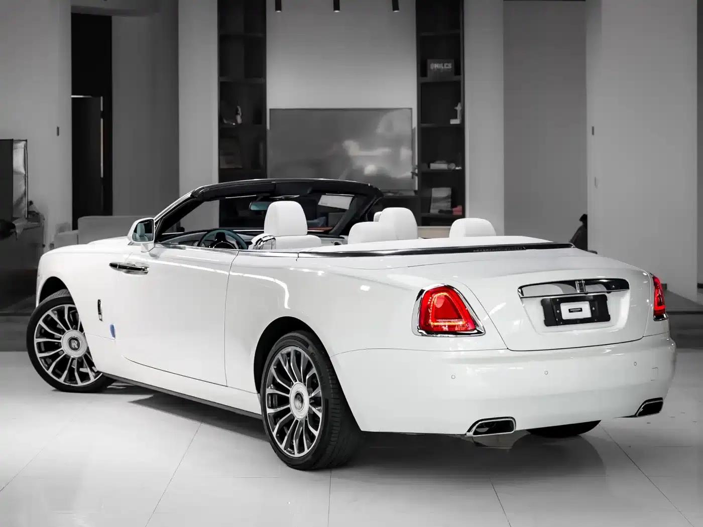 2018 Dawn 6.6T Standard Edition — миниатюра 4