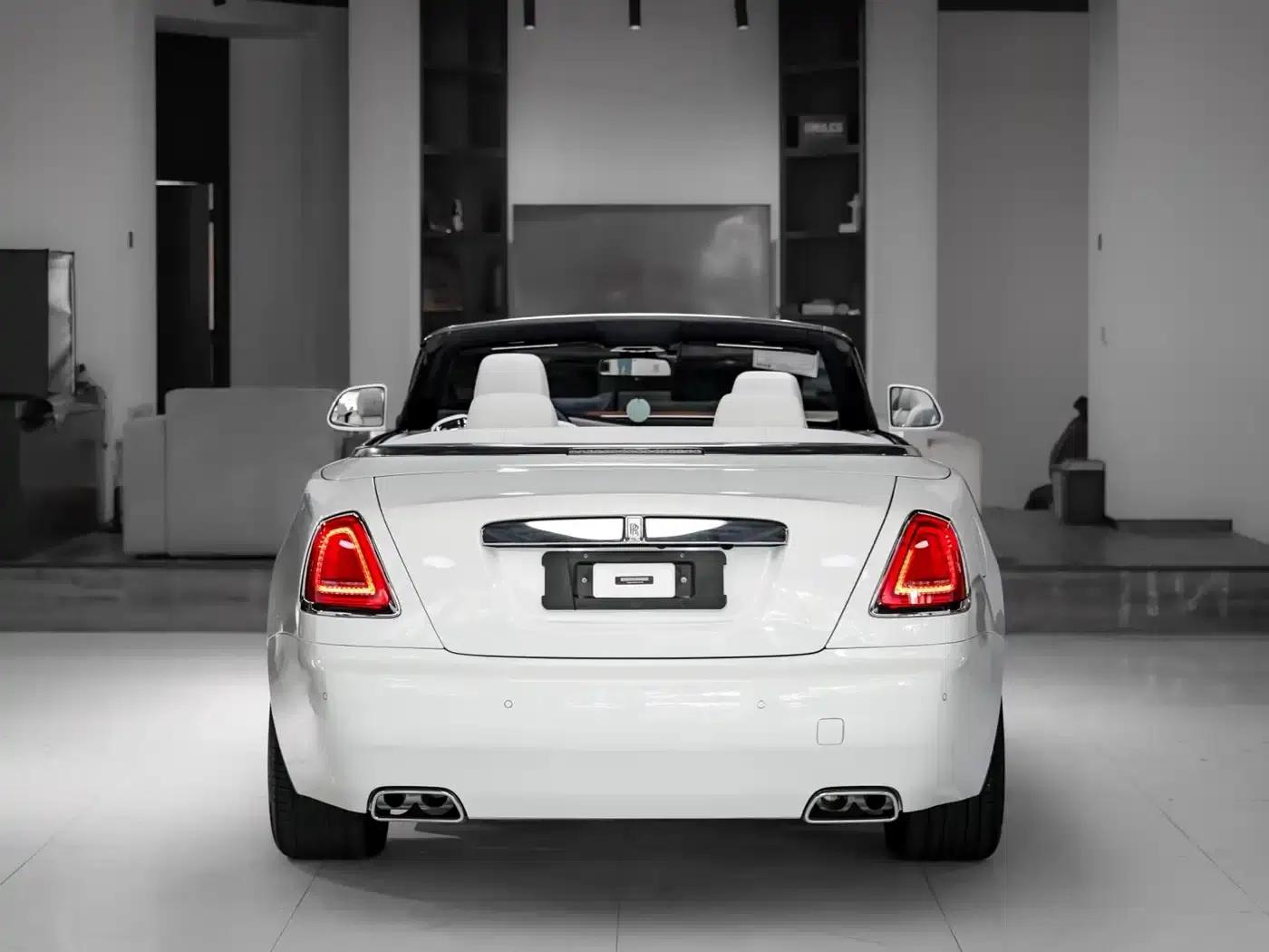 2018 Dawn 6.6T Standard Edition — миниатюра 5