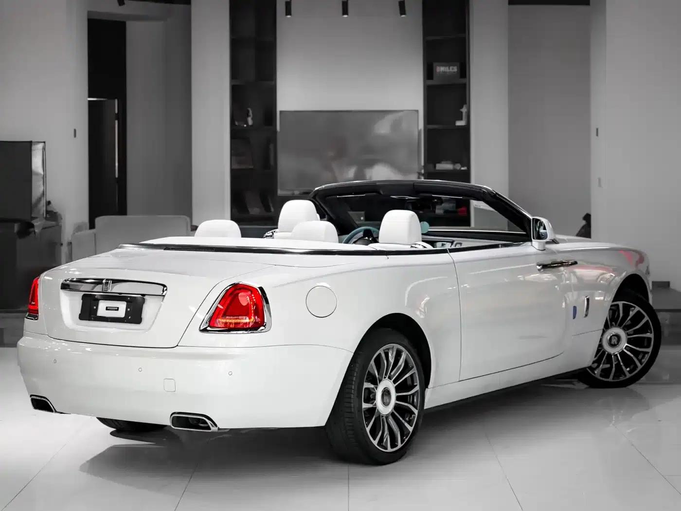 2018 Dawn 6.6T Standard Edition — миниатюра 6
