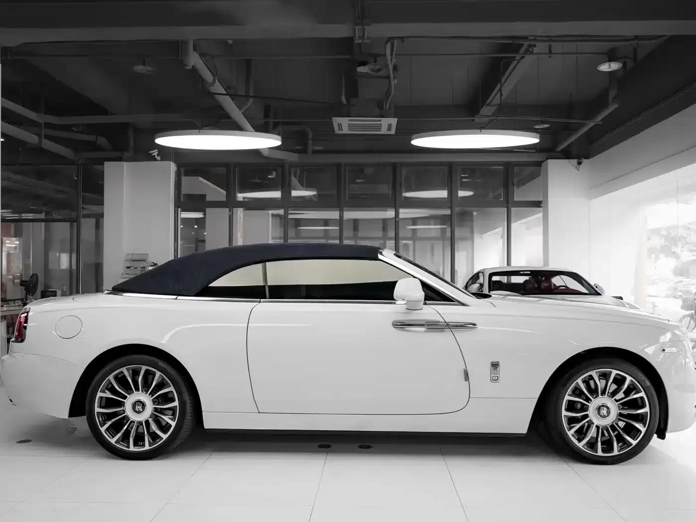 2018 Dawn 6.6T Standard Edition — миниатюра 7