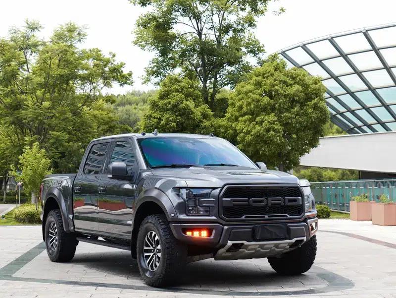 2019 Ford F-150 Raptor 3.5T Performance Enhanced Edition — миниатюра 3