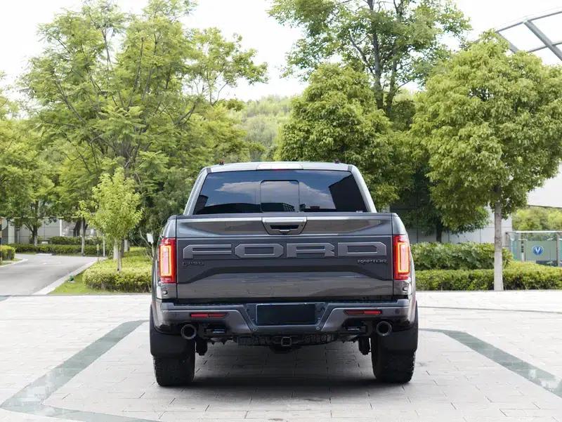 2019 Ford F-150 Raptor 3.5T Performance Enhanced Edition — миниатюра 6
