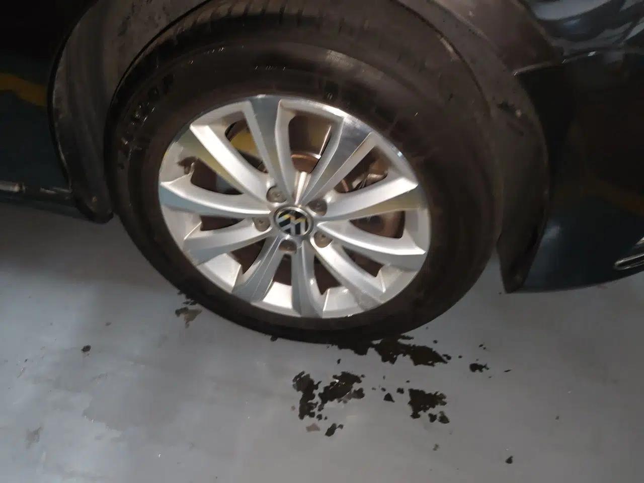 Volkswagen Magotan 2015 1.8TSI Luxury Model — миниатюра 8