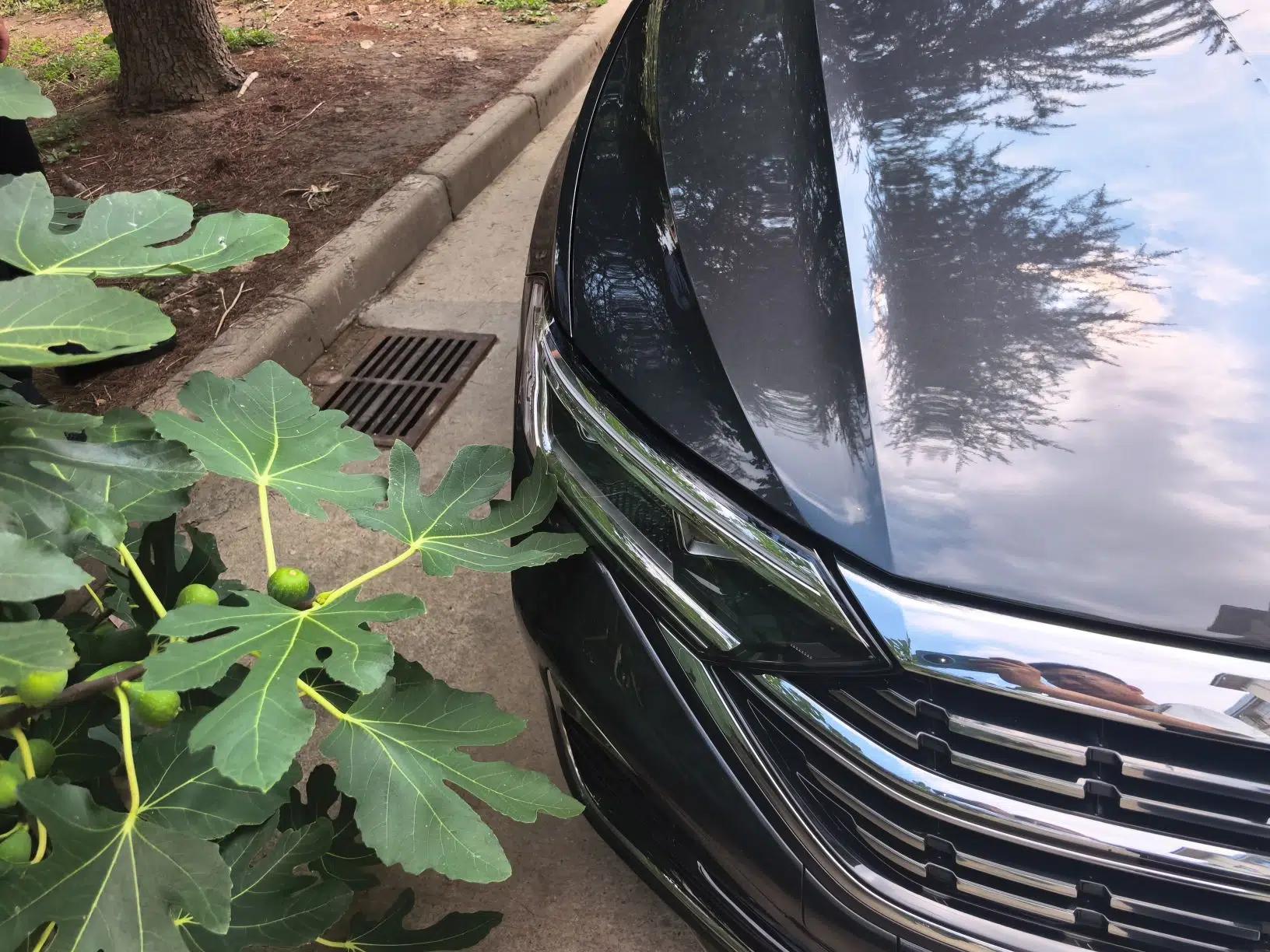 Volkswagen Sagitar 2024 300TSI DSG Excellence Edition — миниатюра 7