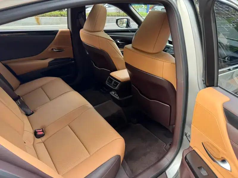 Lexus ES 2018 200 Premium Edition (China VI Emission Standard) — миниатюра 9