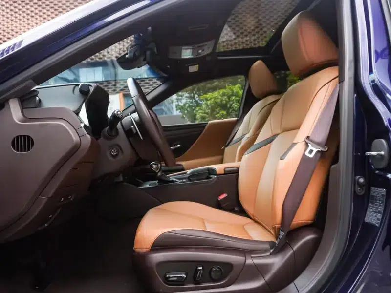 Lexus ES 2020 300h Premium Edition (China V Emission Standard) — миниатюра 18