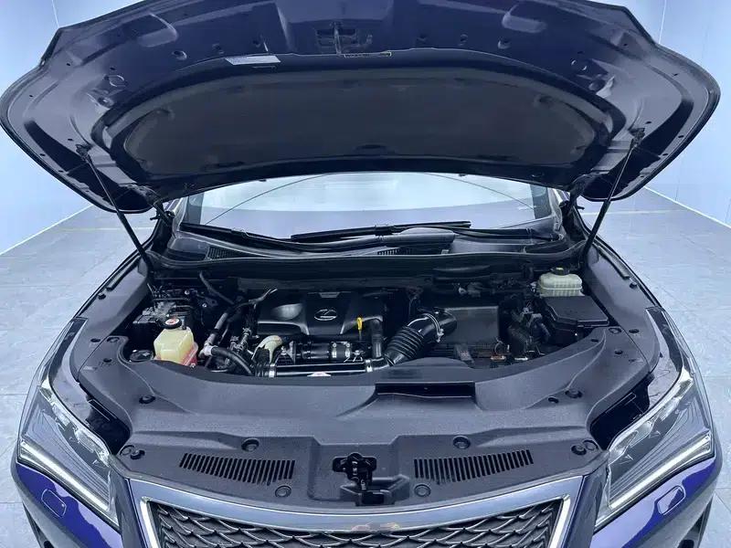 Lexus RX 2016 300 AWD F Sport Edition (China V emission standard) — миниатюра 10