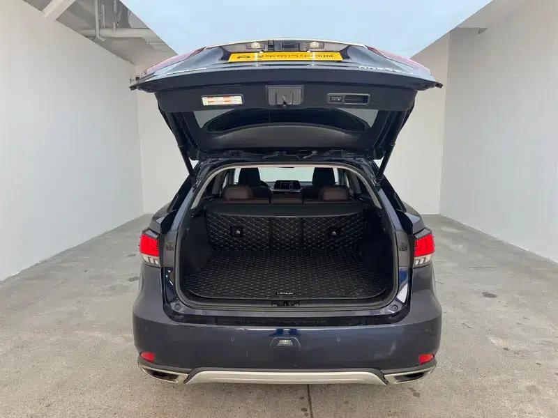 Lexus RX 2020 Facelift 300 AWD Elegant Edition — миниатюра 20