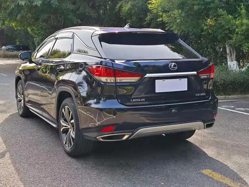 Lexus RX 2020 300 AWD Elegant Edition (China VI Emission Standard) — миниатюра 5