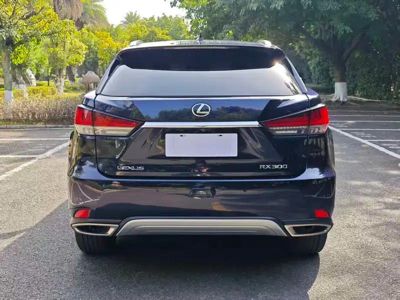 Lexus RX 2020 300 AWD Elegant Edition (China VI Emission Standard) — миниатюра 6