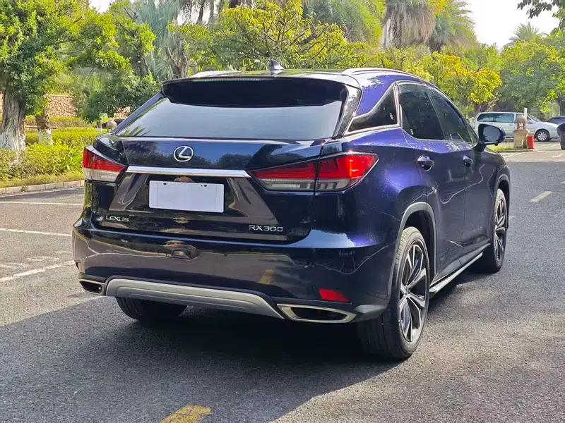 Lexus RX 2020 300 AWD Elegant Edition (China VI Emission Standard) — миниатюра 7