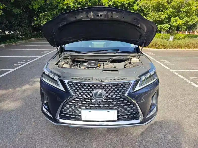 Lexus RX 2020 300 AWD Elegant Edition (China VI Emission Standard) — миниатюра 8