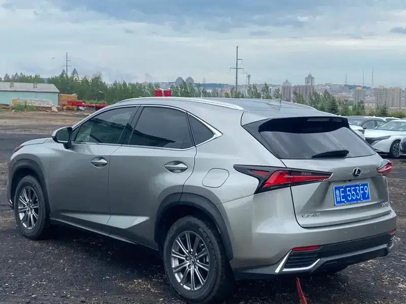 Lexus NX 2020 200 AWD Sport Edition (China V Emission Standard) — миниатюра 4
