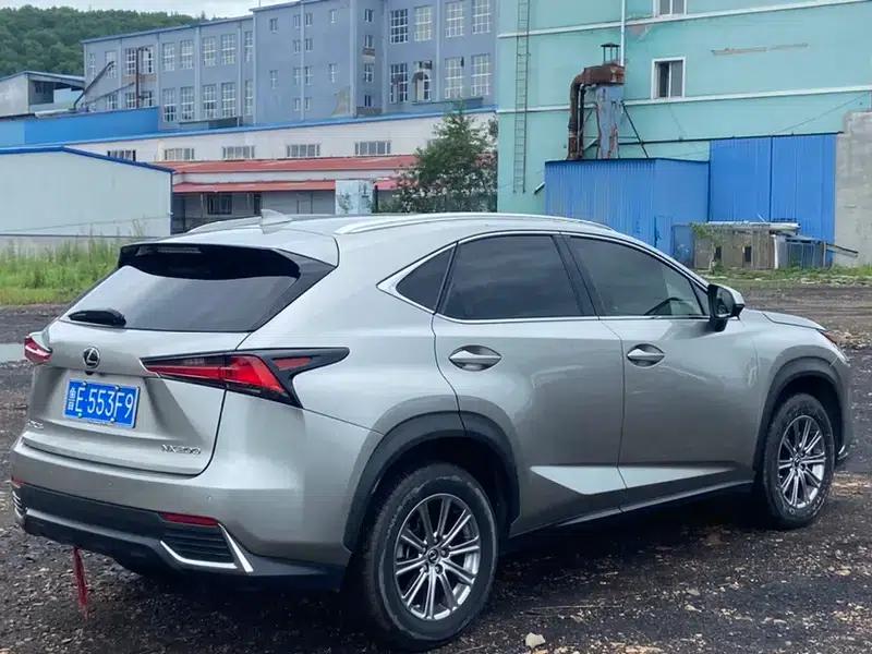 Lexus NX 2020 200 AWD Sport Edition (China V Emission Standard) — миниатюра 6