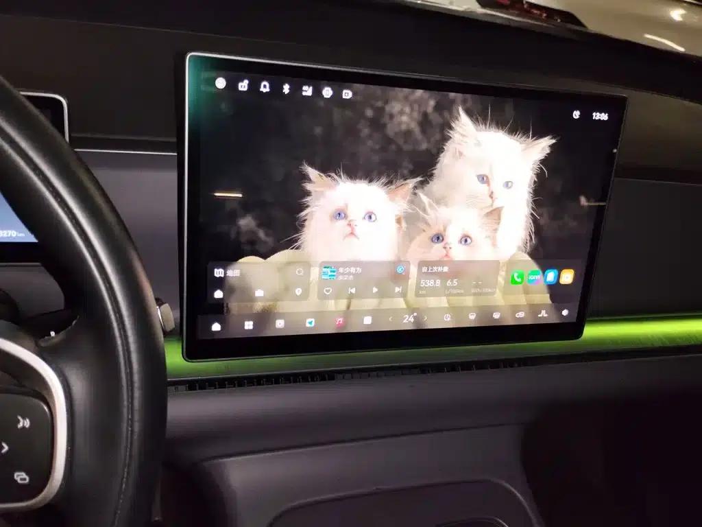 Leapmotor C16 2024 Range Extended 200 Premium Edition — миниатюра 10