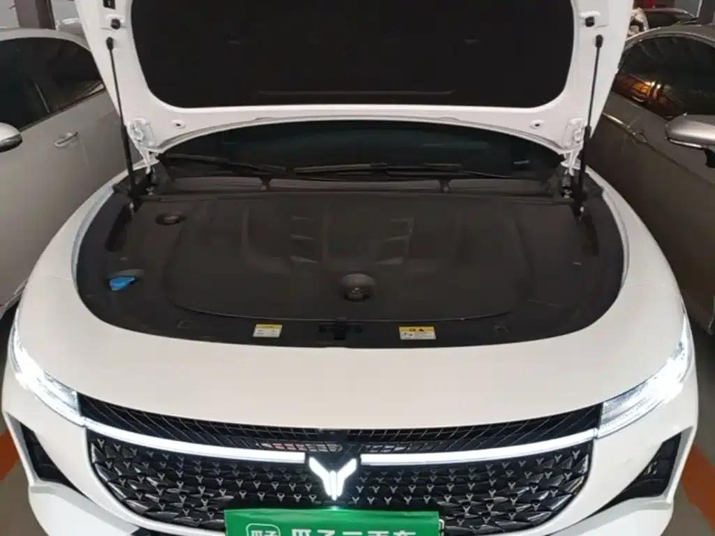 Voyah Chasing the Light 2024 PHEV AWD Long Range Flagship Edition — миниатюра 20