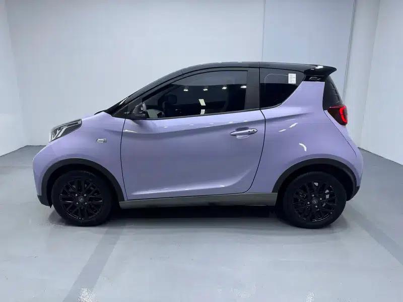 Little Ant 2024 Model, Only Love, Lithium Iron Phosphate, 29.23kWh, 321km — миниатюра 4